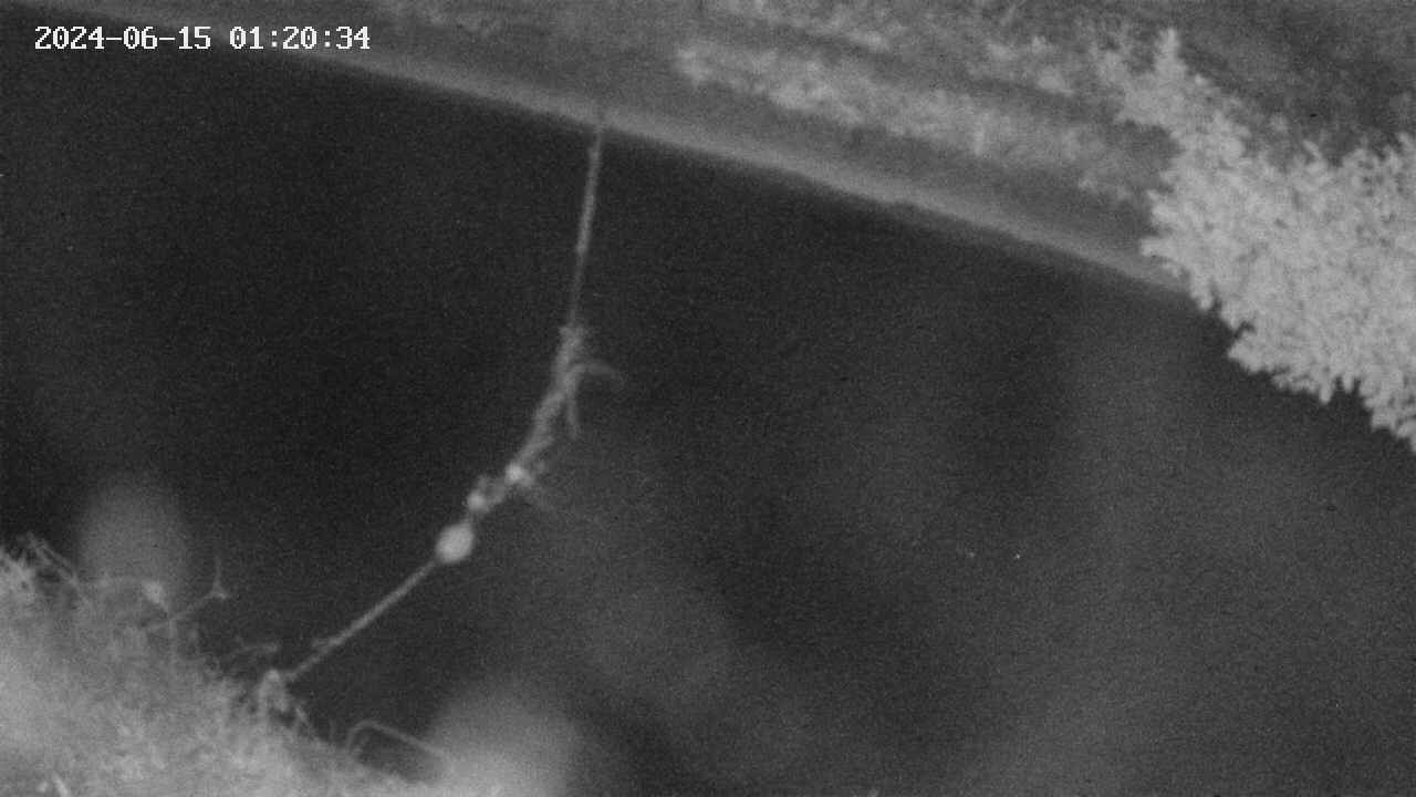 area10-20240615012035.jpg