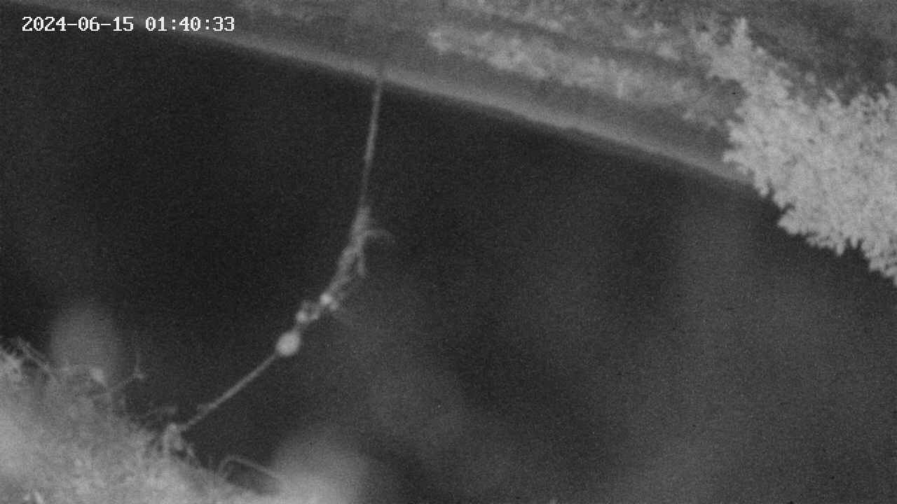 area10-20240615014034.jpg