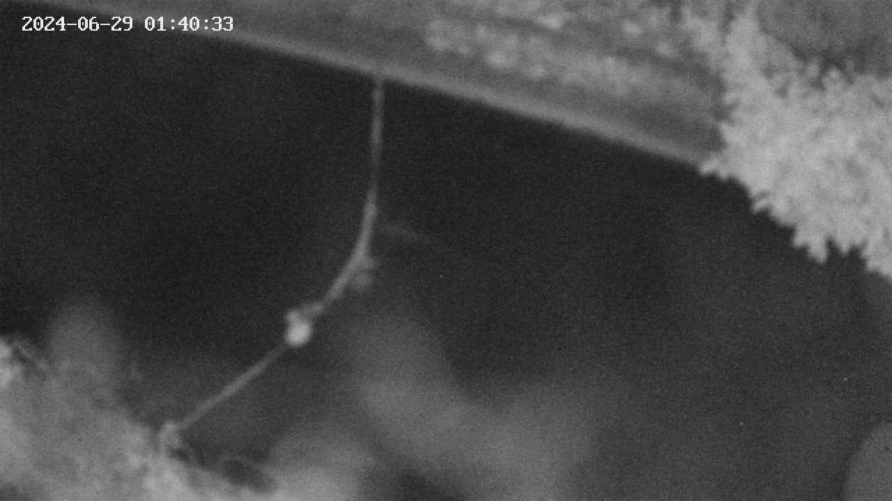 area10-20240629014034.jpg