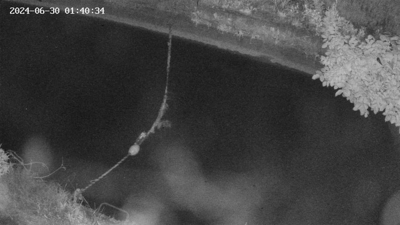 area10-20240630014035.jpg