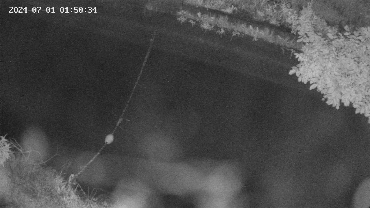 area10-20240701015035.jpg