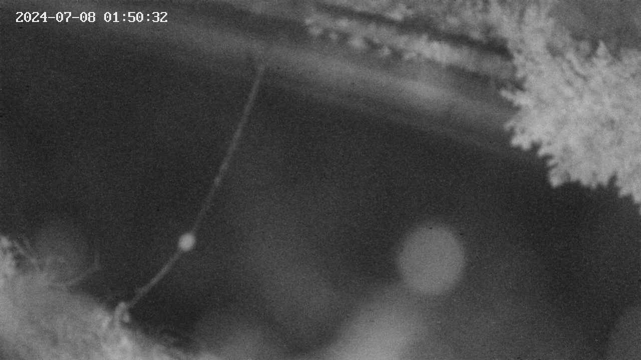 area10-20240708015034.jpg