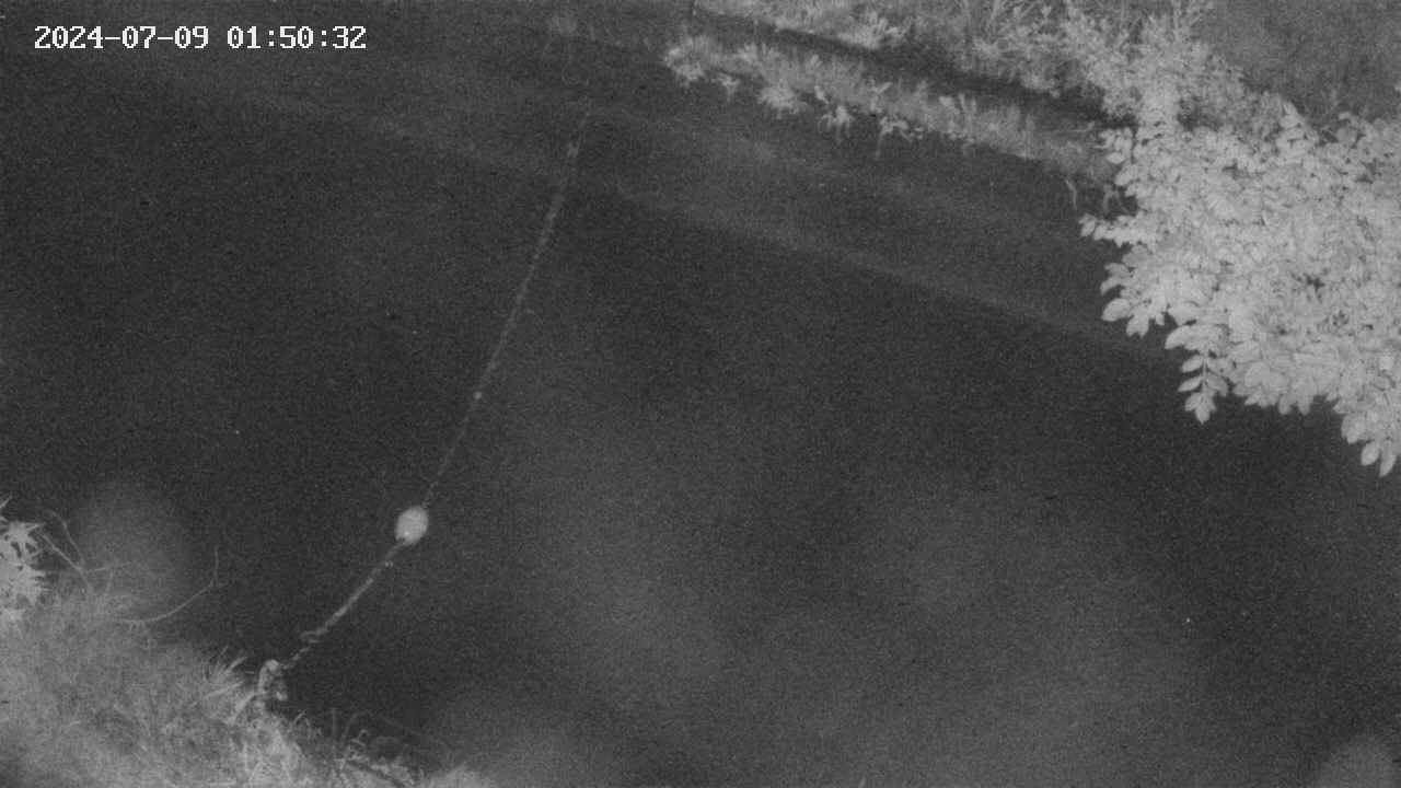 area10-20240709015034.jpg