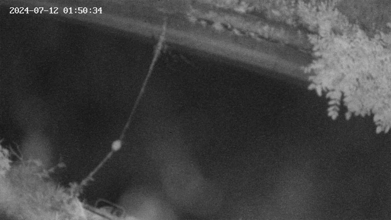 area10-20240712015035.jpg