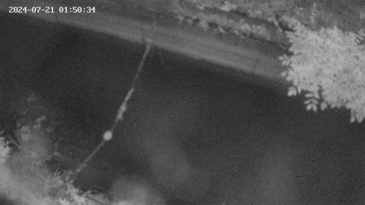 area10-20240721015035.jpg