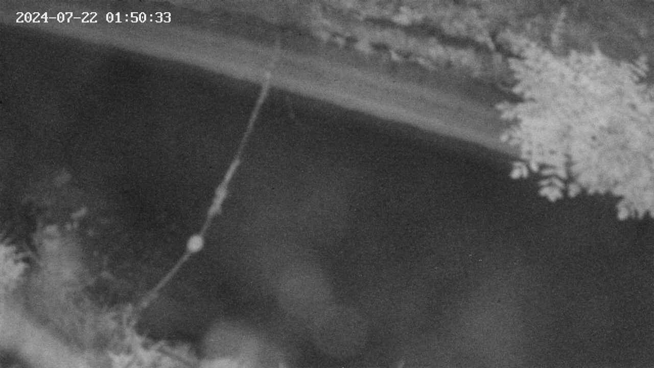 area10-20240722015034.jpg