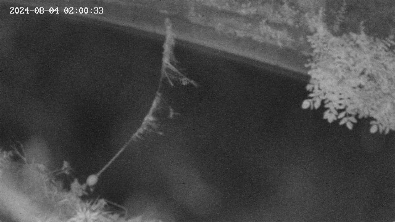 area10-20240804020034.jpg