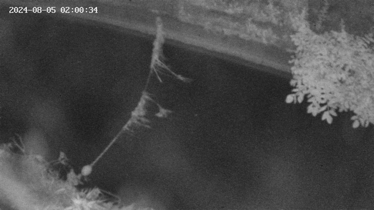 area10-20240805020034.jpg