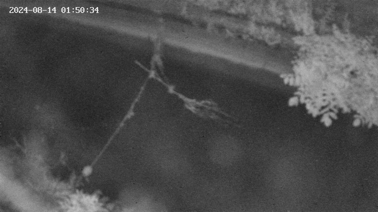 area10-20240814015035.jpg