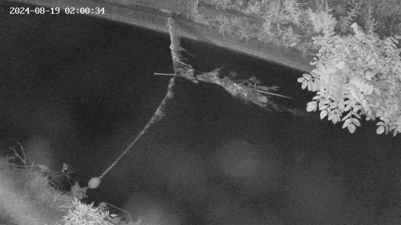 area10-20240819020034.jpg