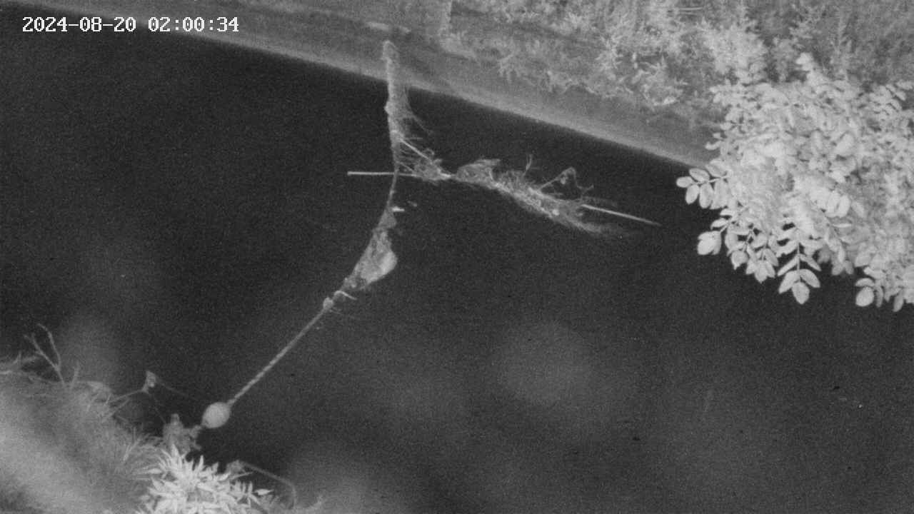 area10-20240820020035.jpg