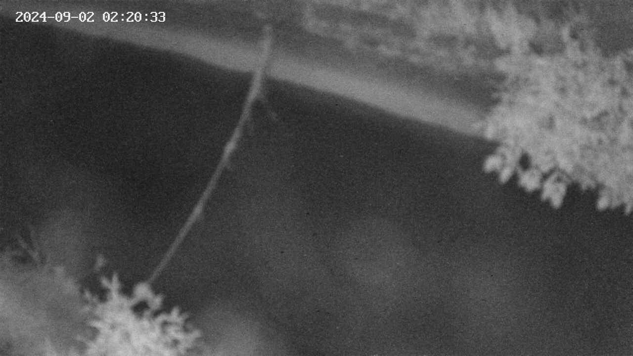 area10-20240902022034.jpg
