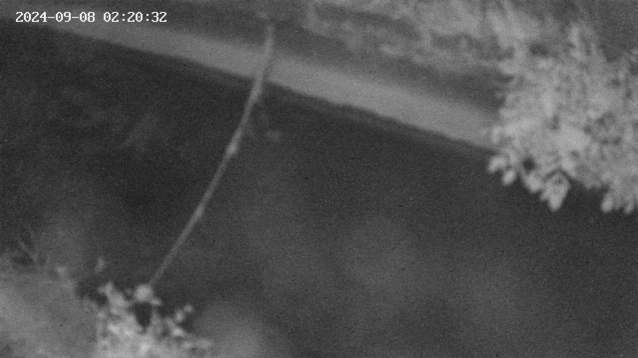area10-20240908022033.jpg