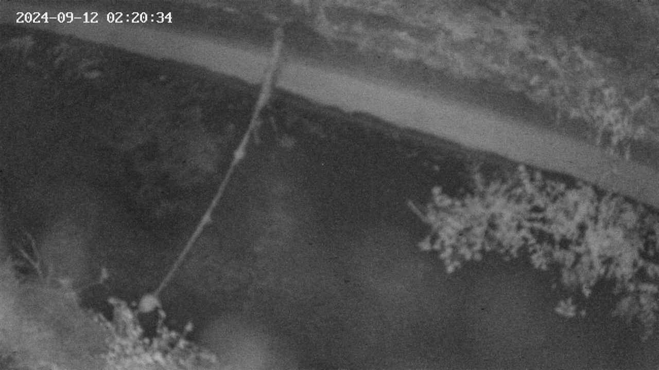 area10-20240912022035.jpg