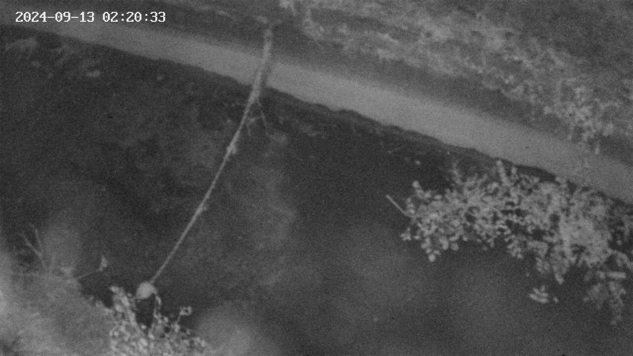 area10-20240913022034.jpg