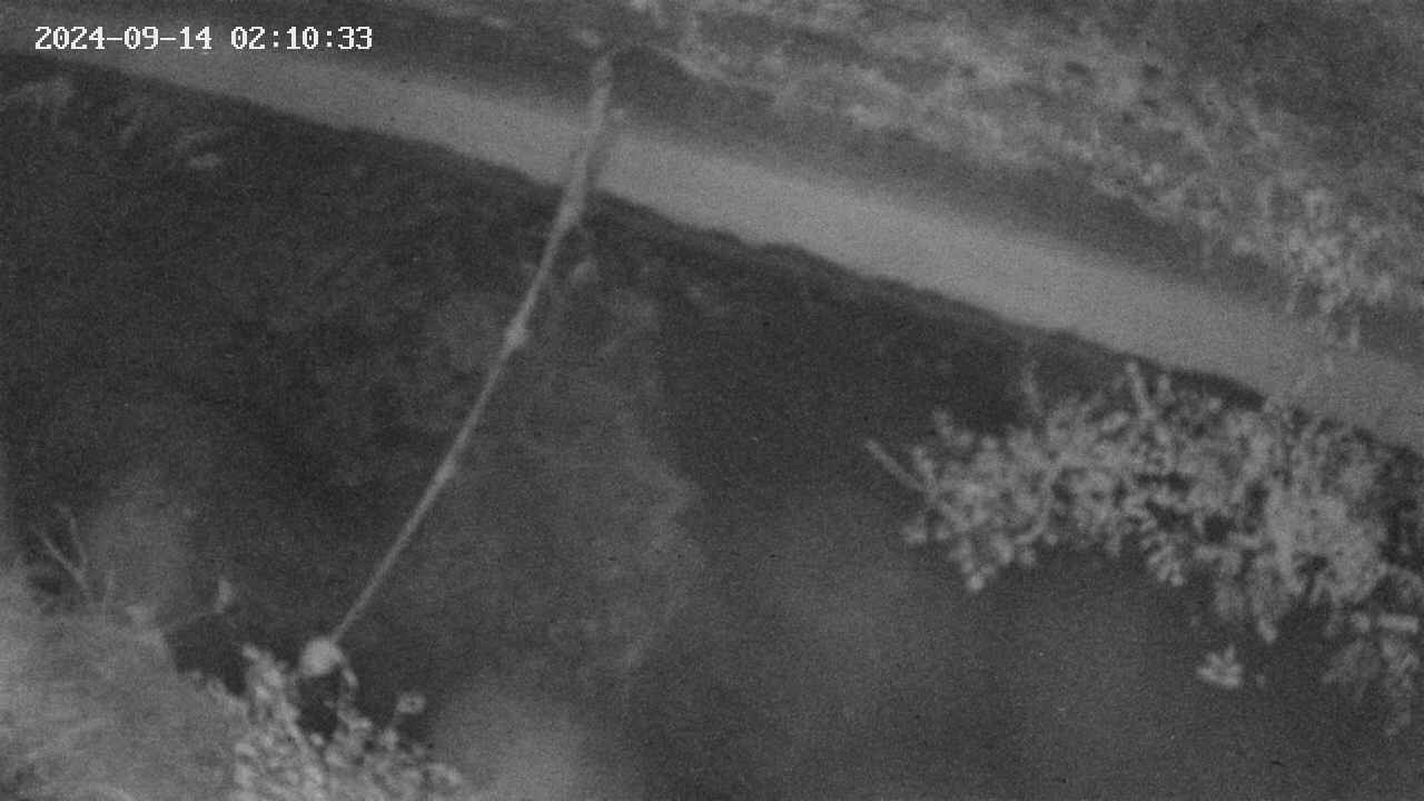 area10-20240914021033.jpg