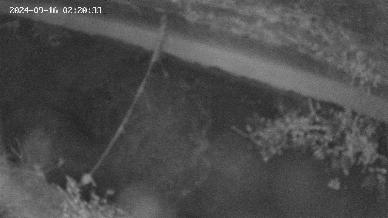 area10-20240916022033.jpg