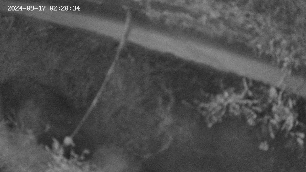 area10-20240917022035.jpg