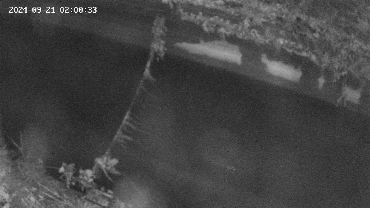 area10-20240921020034.jpg