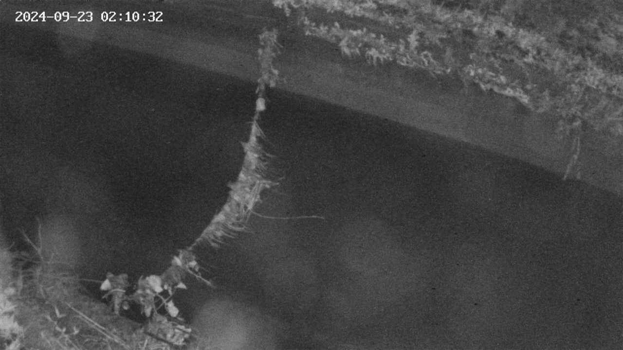 area10-20240923021033.jpg