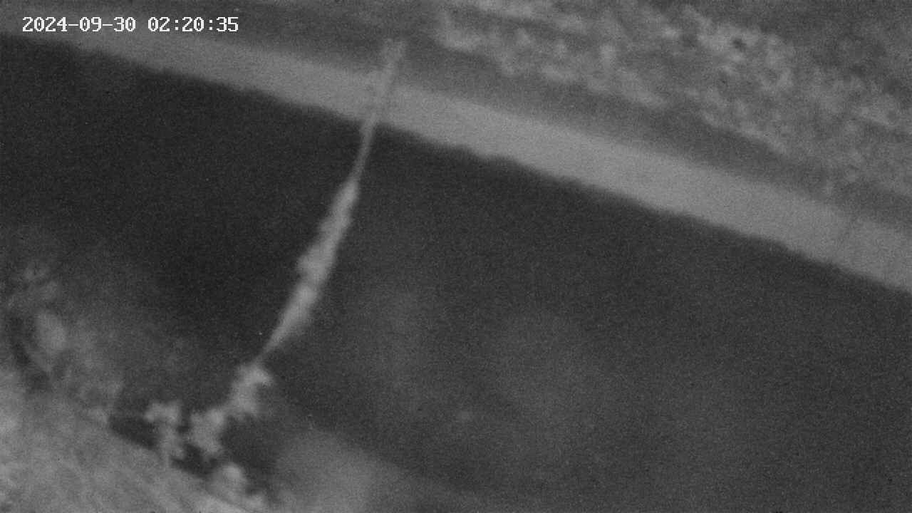 area10-20240930022036.jpg