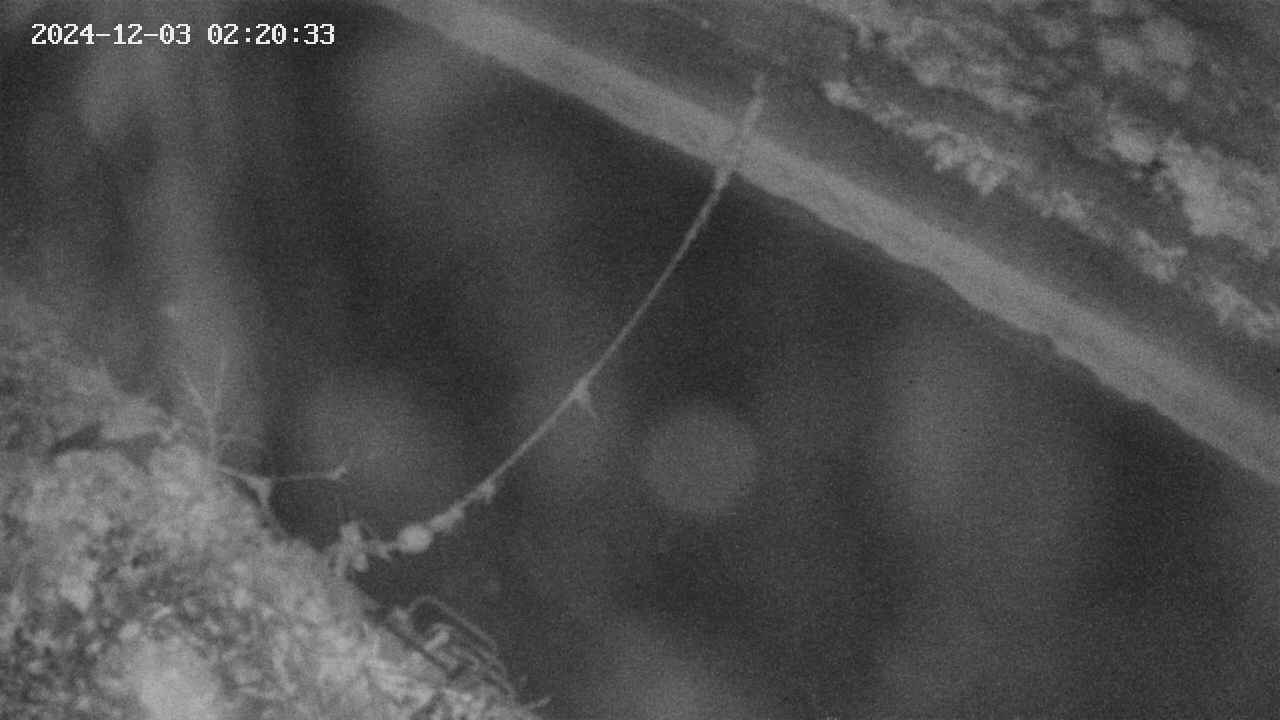 area10-20241203022035.jpg