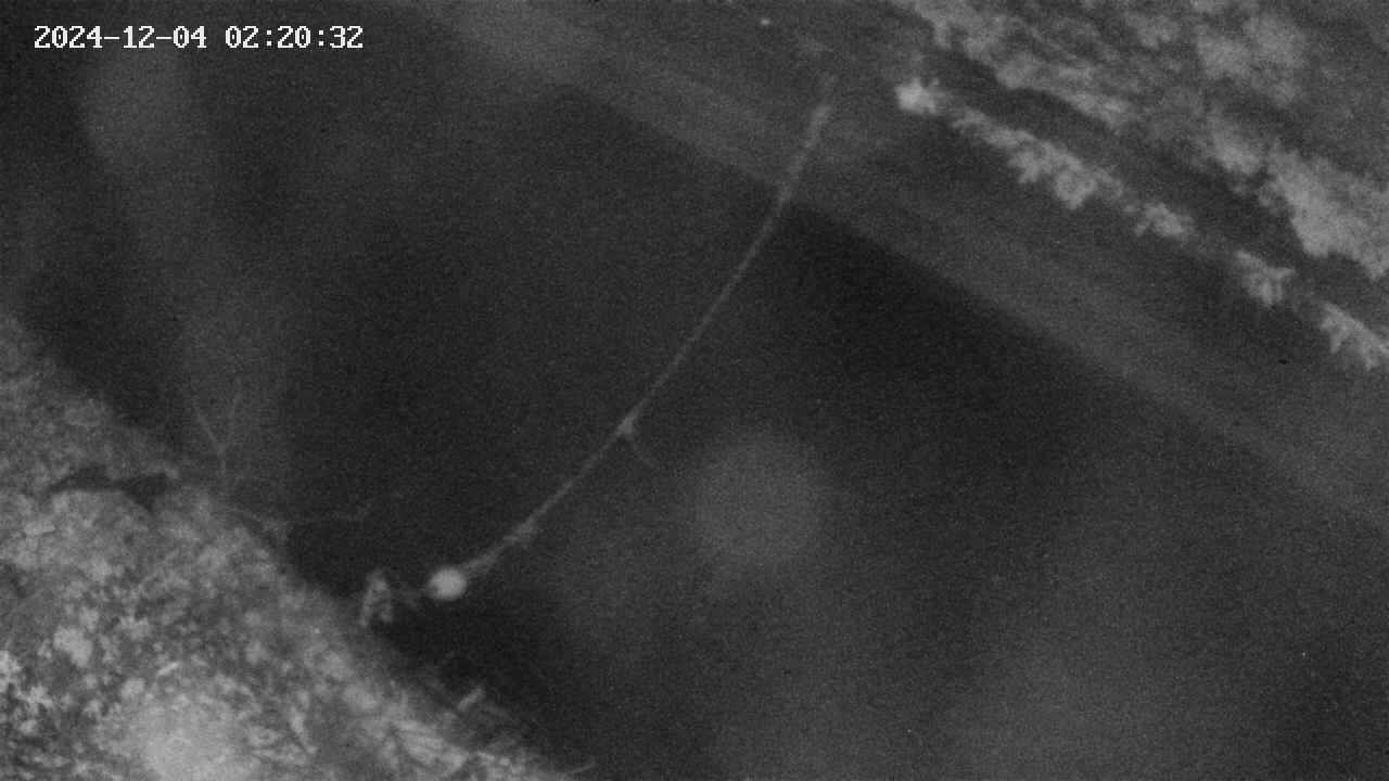 area10-20241204022034.jpg