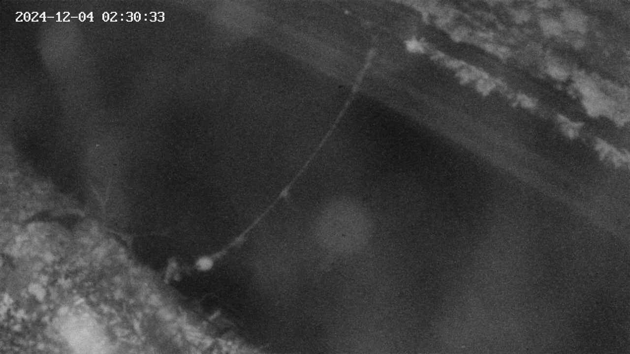 area10-20241204023034.jpg