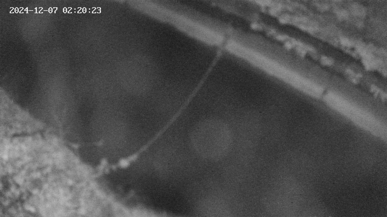 area10-20241207022034.jpg