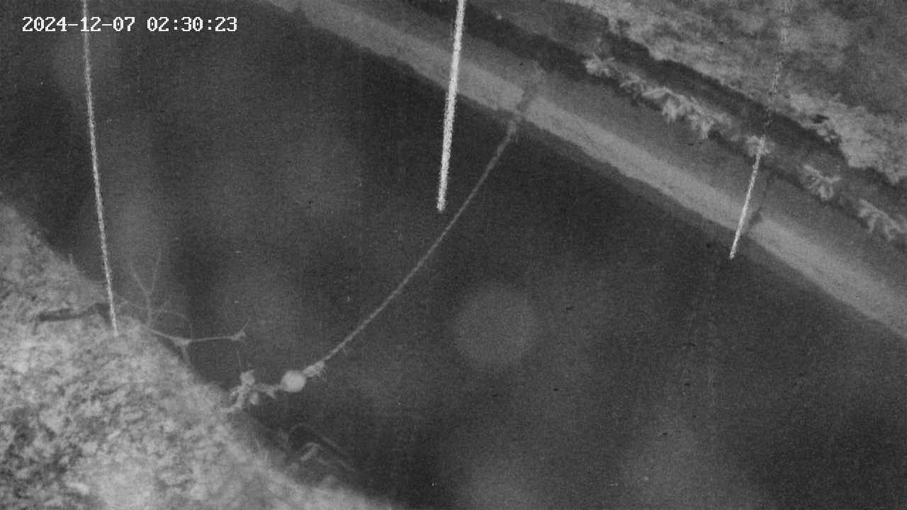 area10-20241207023034.jpg