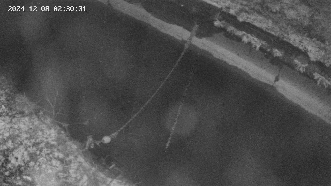 area10-20241208023033.jpg