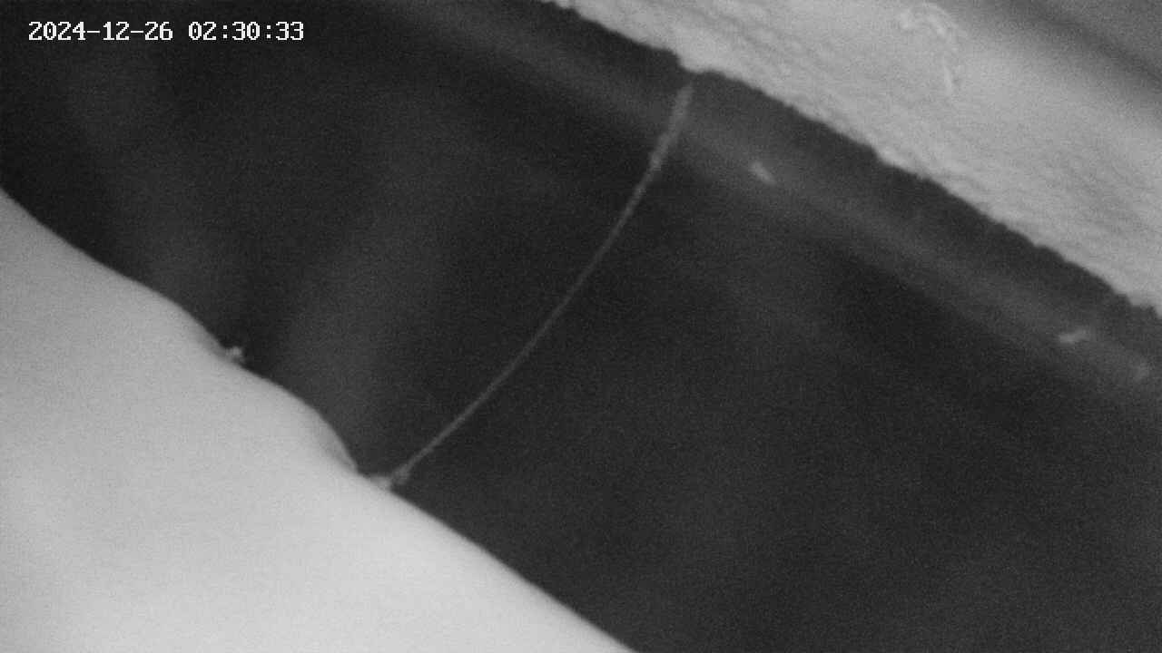 area10-20241226023034.jpg