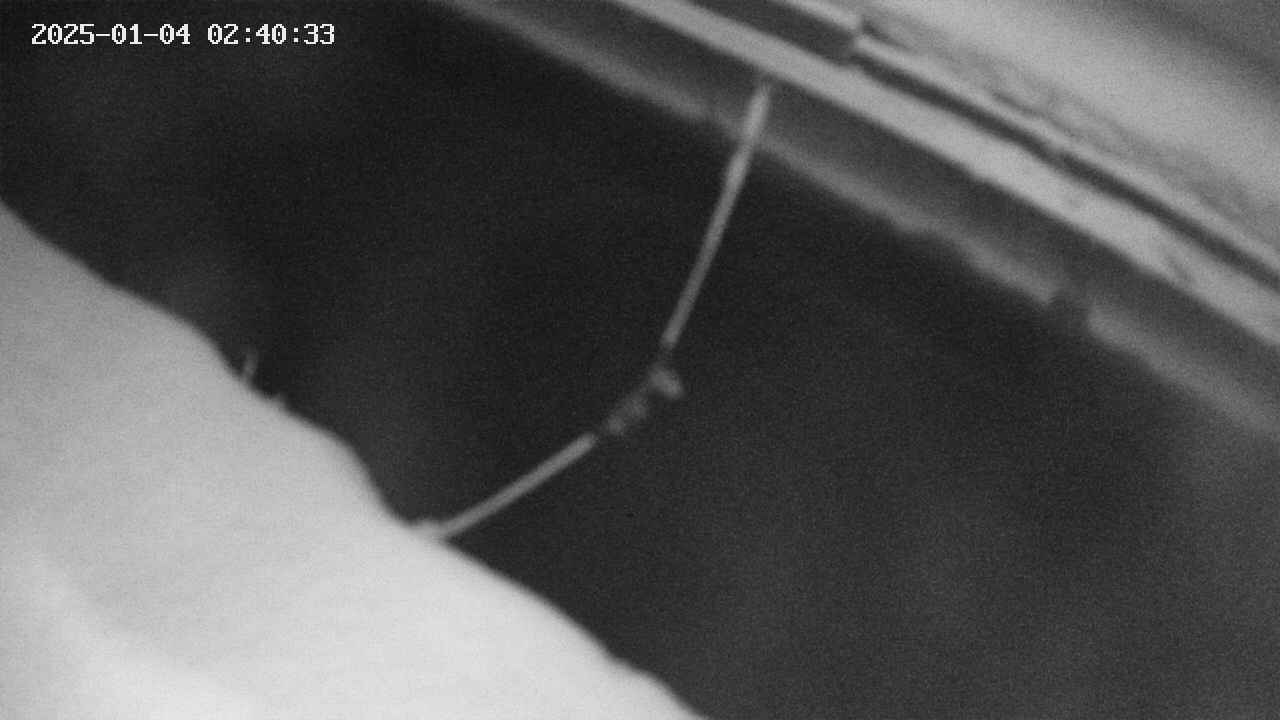 area10-20250104024034.jpg