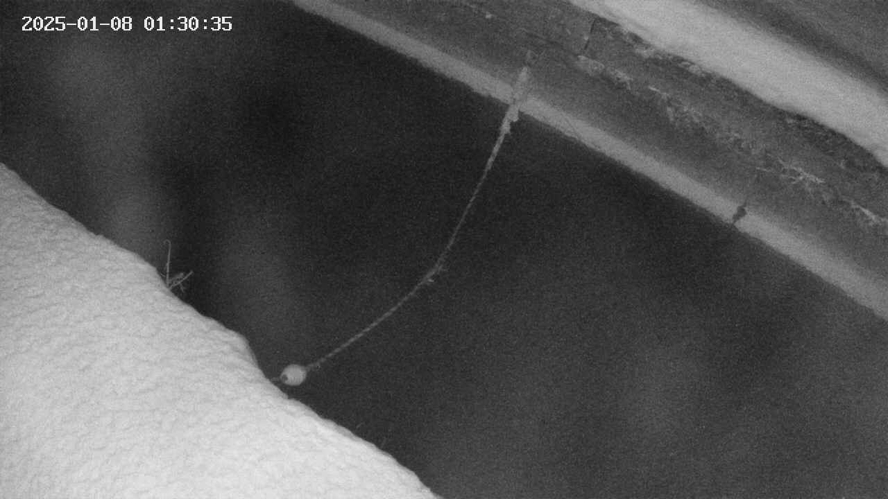area10-20250108013036.jpg