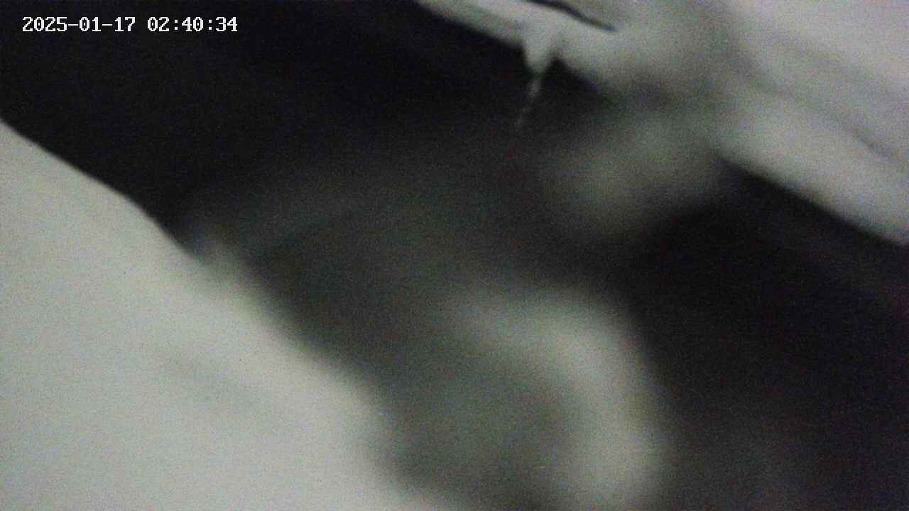area10-20250117024035.jpg