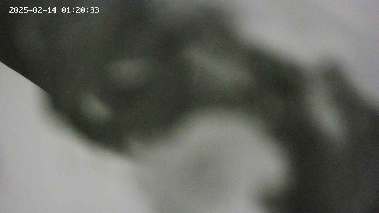 area10-20250214012034.jpg