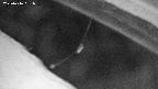 area10-20250216051033.jpg