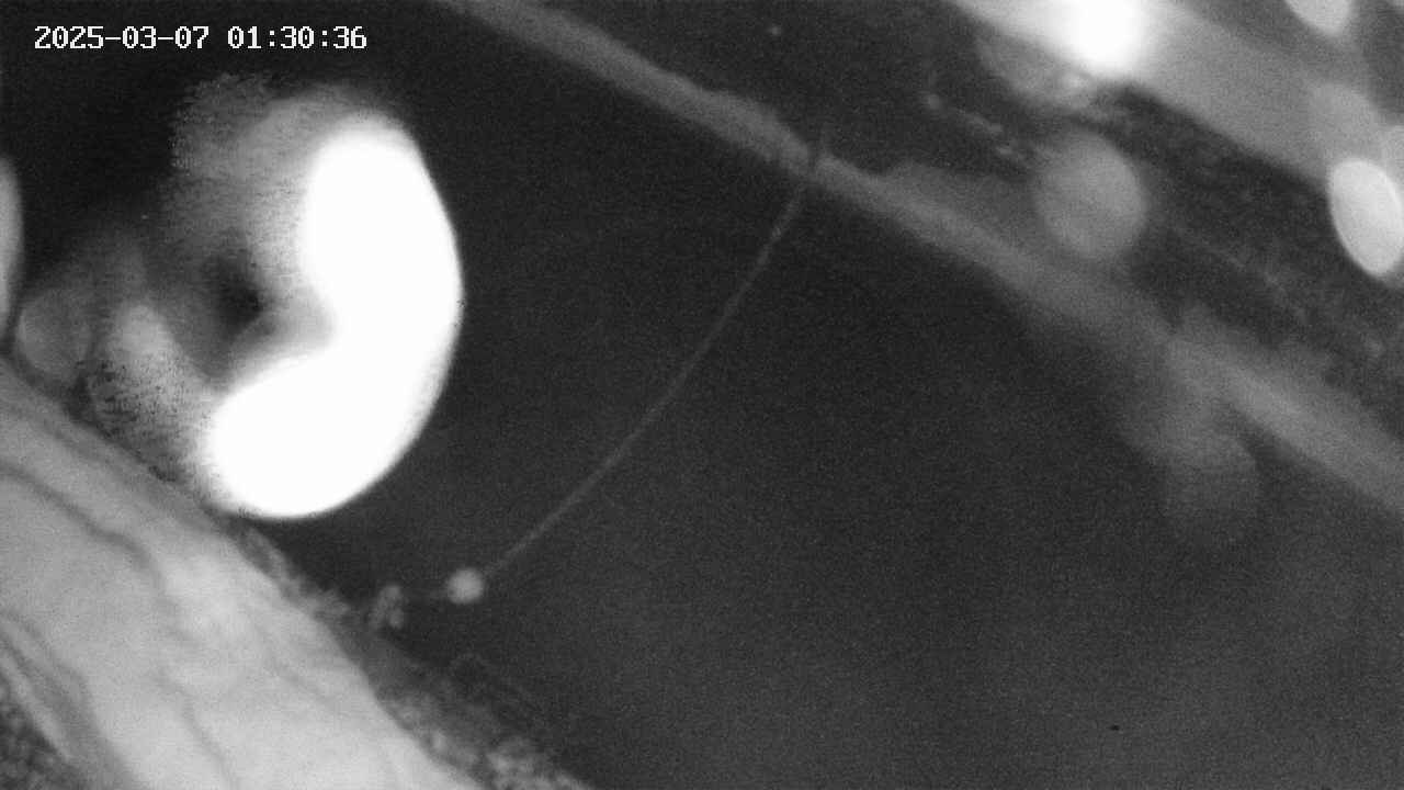 area10-20250307013038.jpg