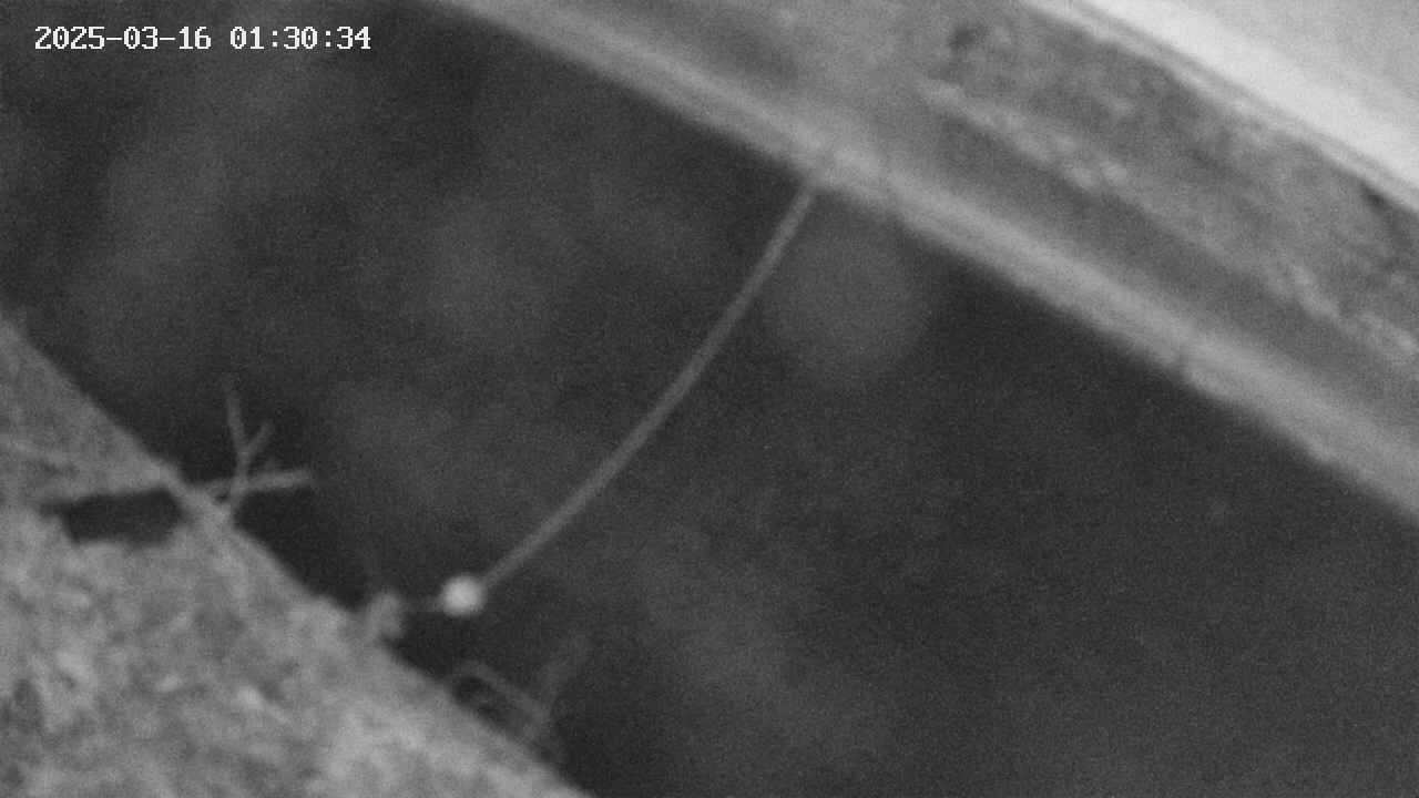 area10-20250316013035.jpg