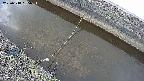 area10-20250318155035.jpg