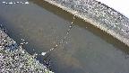 area10-20250322100037.jpg