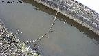area10-20250322103035.jpg