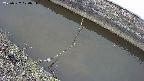 area10-20250322104035.jpg