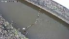 area10-20250322120035.jpg