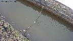 area10-20250322165034.jpg