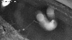 area10-20250323050037.jpg