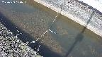 area10-20250323110035.jpg