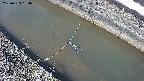 area10-20250323134034.jpg