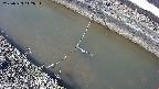 area10-20250323142036.jpg