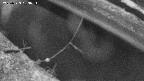 area10-20250323183036.jpg